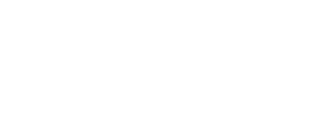 BIESSE GROUP